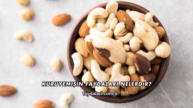 Kuruyemişin Faydaları Nelerdir?