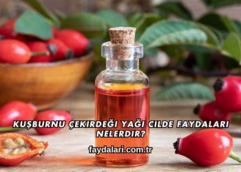 Kuşburnu Çekirdeği Yağı Cilde Faydaları Nelerdir?