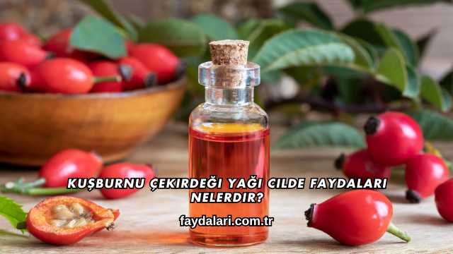 Kuşburnu Çekirdeği Yağı Cilde Faydaları Nelerdir?