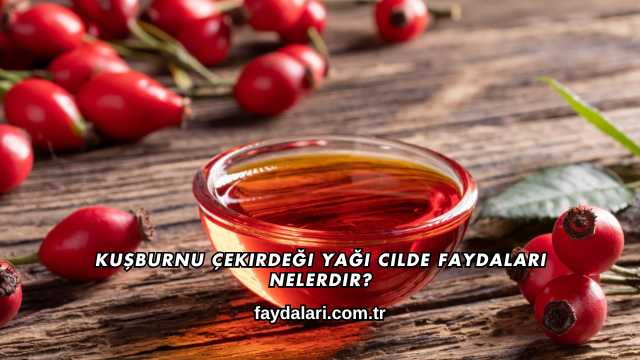 Kuşburnu Çekirdeği Yağı Cilde Faydaları Nelerdir?