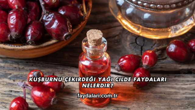 Kuşburnu Çekirdeği Yağı Cilde Faydaları Nelerdir?