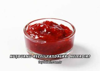 Kuşburnu Reçeli Faydaları Nelerdir?