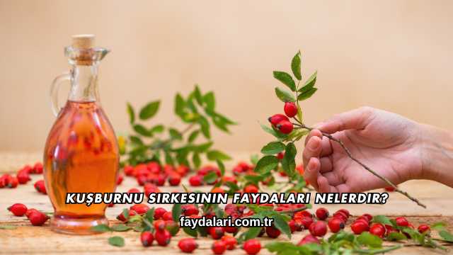 Kuşburnu Sirkesinin Faydaları Nelerdir?