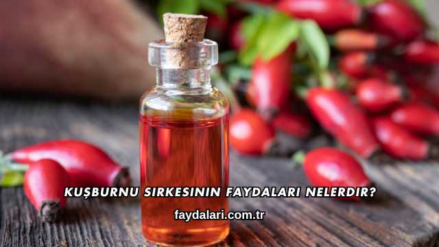 Kuşburnu Sirkesinin Faydaları Nelerdir?