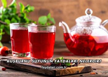 Kuşburnu Suyunun Faydaları Nelerdir?