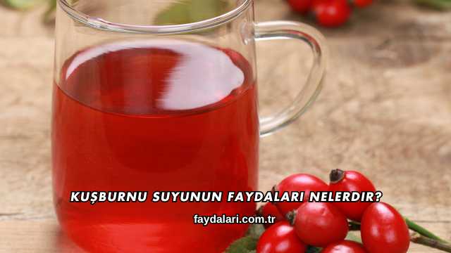 Kuşburnu Suyunun Faydaları Nelerdir?