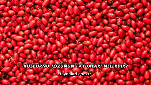 Kuşburnu Tozunun Faydaları Nelerdir?