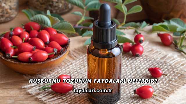 Kuşburnu Tozunun Faydaları Nelerdir?