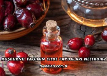 Kuşburnu Yağının Cilde Faydaları Nelerdir?