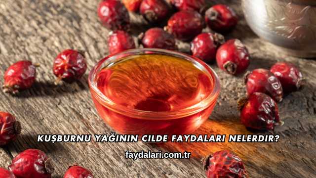 Kuşburnu Yağının Cilde Faydaları Nelerdir?