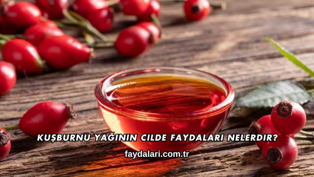 Kuşburnu Yağının Cilde Faydaları Nelerdir?
