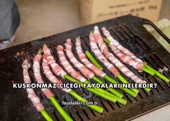 Kuşkonmaz Çiçeği Faydaları Nelerdir?