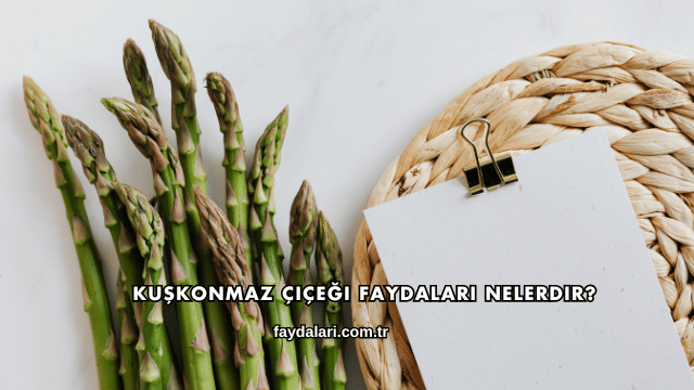 Kuşkonmaz Çiçeği Faydaları Nelerdir?