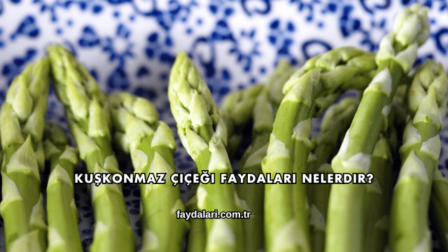 Kuşkonmaz Çiçeği Faydaları Nelerdir?