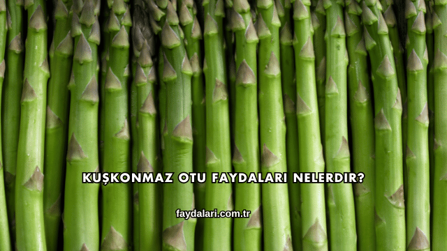 Kuşkonmaz Otu Faydaları Nelerdir?