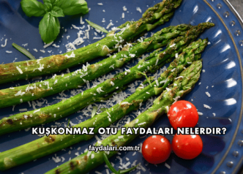 Kuşkonmaz Otu Faydaları Nelerdir?