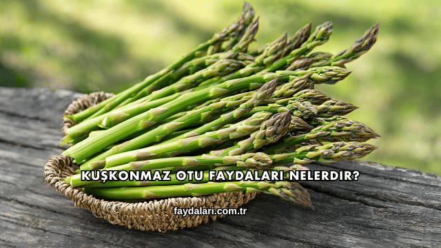 Kuşkonmaz Otu Faydaları Nelerdir?
