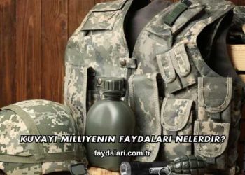 Kuvayi Milliyenin Faydaları Nelerdir?