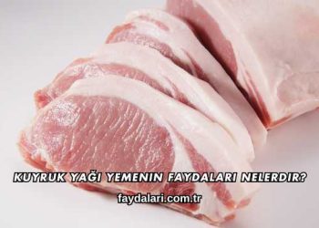 Kuyruk Yağı Yemenin Faydaları Nelerdir?