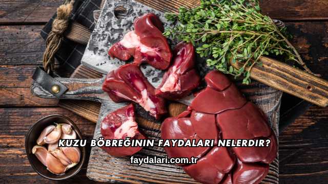 Kuzu Böbreğinin Faydaları Nelerdir?
