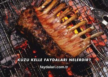 Kuzu Kelle Faydaları Nelerdir?