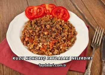 Kuzu Kokoreç Faydaları Nelerdir?