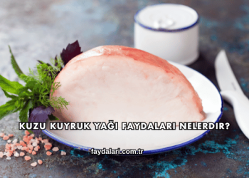 Kuzu Kuyruk Yağı Faydaları Nelerdir?