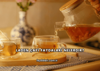 Laden Çayı Faydaları Nelerdir?