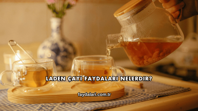 Laden Çayı Faydaları Nelerdir?