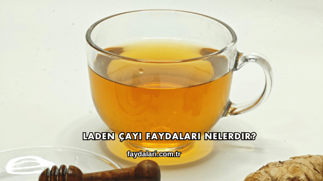 Laden Çayı Faydaları Nelerdir?