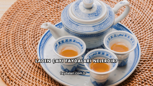 Laden Çayı Faydaları Nelerdir?