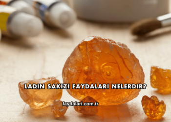 Ladin Sakızı Faydaları Nelerdir?