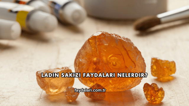 Ladin Sakızı Faydaları Nelerdir?