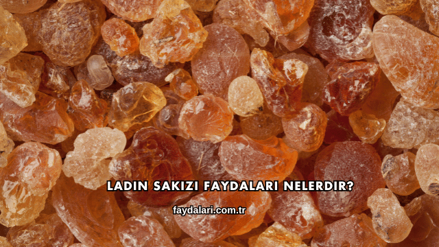 Ladin Sakızı Faydaları Nelerdir?