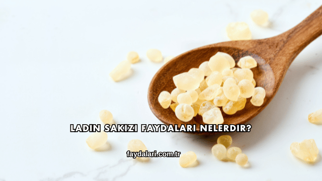 Ladin Sakızı Faydaları Nelerdir?