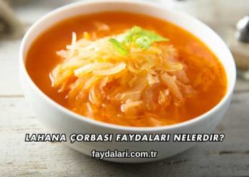 Lahana Çorbası Faydaları Nelerdir?