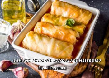 Lahana Sarması Faydaları Nelerdir?