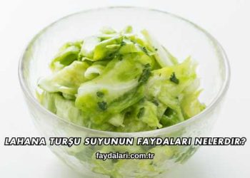 Lahana Turşu Suyunun Faydaları Nelerdir?
