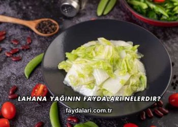 Lahana Yağının Faydaları Nelerdir?
