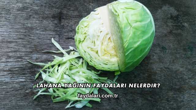 Lahana Yağının Faydaları Nelerdir?