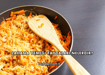 Lahana Yemeği Faydaları Nelerdir?