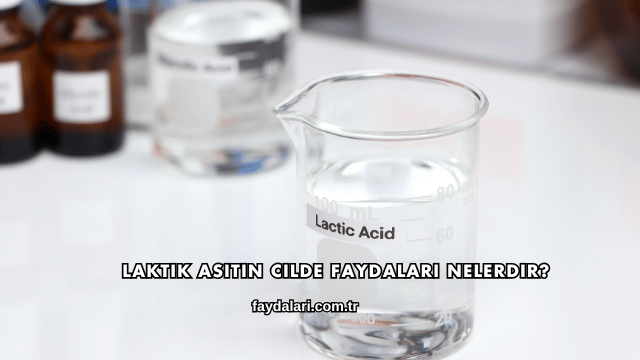 Laktik Asitin Cilde Faydaları Nelerdir?