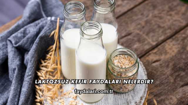 Laktozsuz Kefir Faydaları Nelerdir?