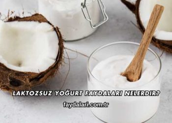 Laktozsuz Yoğurt Faydaları Nelerdir?