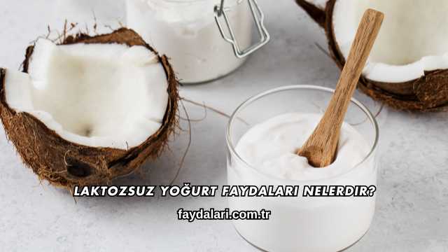 Laktozsuz Yoğurt Faydaları Nelerdir?