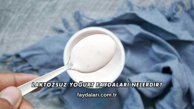Laktozsuz Yoğurt Faydaları Nelerdir?