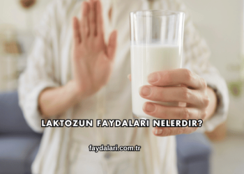 Laktozun Faydaları Nelerdir?