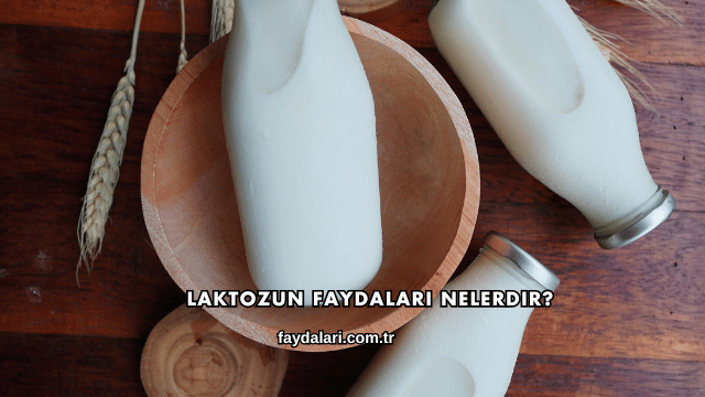 Laktozun Faydaları Nelerdir?