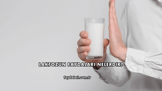 Laktozun Faydaları Nelerdir?