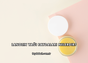 Lanolin Yağı Faydaları Nelerdir?